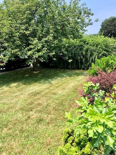 15 Ambler Dr, Norwalk CT  06851-5201 exterior