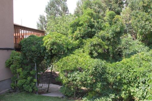 2324 Mdw St, Cedar City UT 84720-2265 exterior