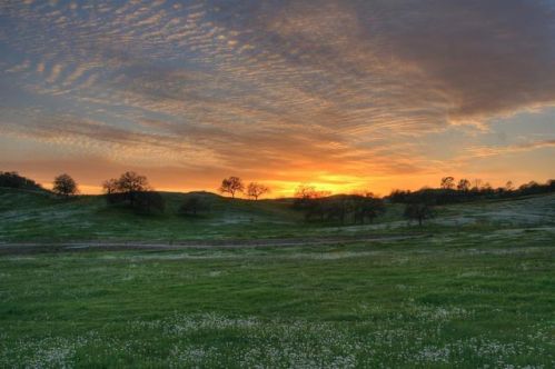 19854 Ventana Hills Dr, Clovis, CA 93619-8105