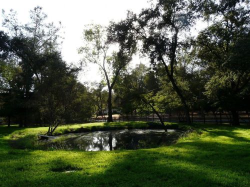 7990 Gilardi Rd, Newcastle, CA 95658-9348