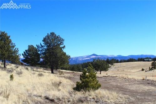 100 Cobb Ln, Guffey, CO 80820-9674