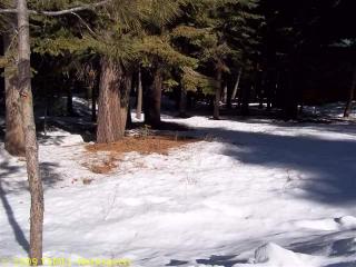 11770 Tundra Dr, Truckee, CA 96161-6100