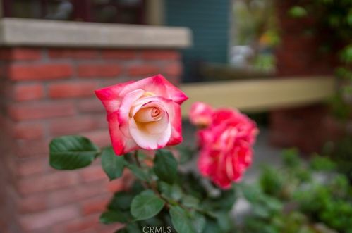 227 Helena St, Anaheim CA  92805-2939 exterior