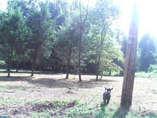 850 Buck Hollow Rd, Hummels Store PA  19540-8388 exterior