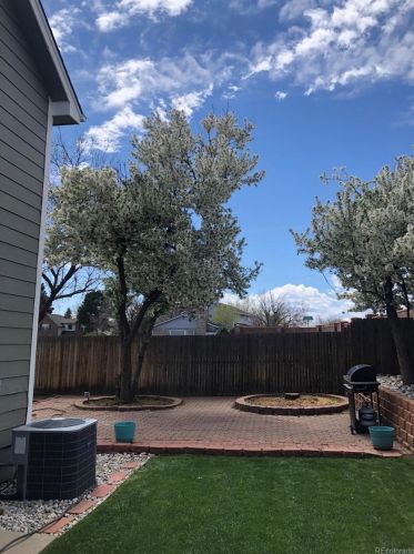 12153 Harvard Dr, Aurora CO 80014-1947 exterior