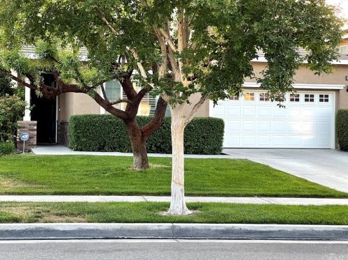 1425 Gold Buckle Ct, Redlands, CA 92374-2790