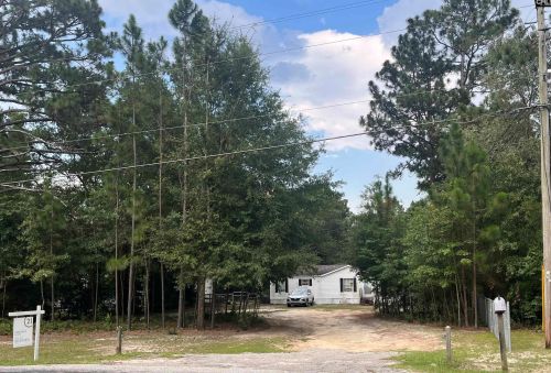 1017 Crystal Springs Dr, Pelion, SC 29123-9304