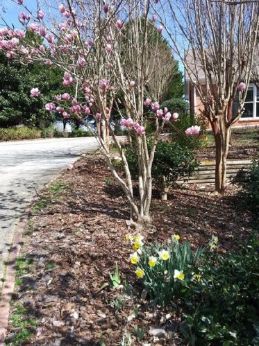 1310 Grapevine Trl, Monroe GA  30656-4513 exterior