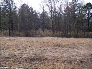 351 Sassafras Ct, Walterboro SC  29488-6068 exterior