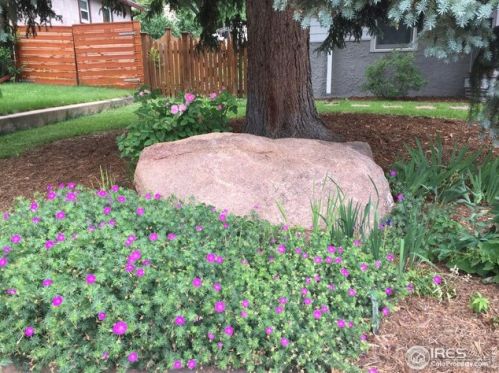 941 8 St, Boulder CO  80302-7103 exterior