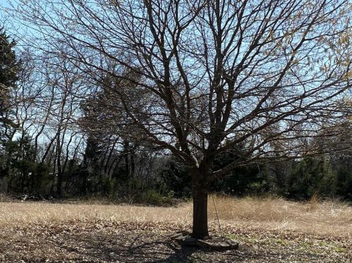 6698 Pear Cir, Princeton TX 75407-4997 exterior