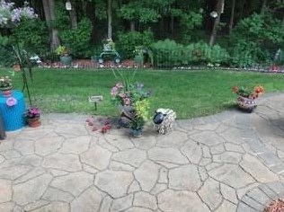 1252 Bucher Ave, Saint Paul MN  55126-8436 exterior