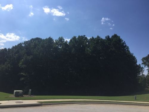 2473 Saint Martin Way, Monroe, GA 30656-6446