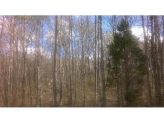 87 Cline Dr, Euharlee, GA 30120-5446