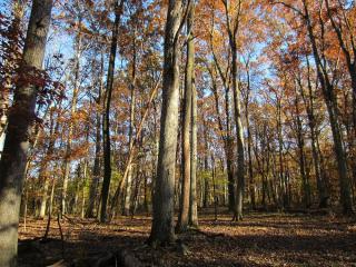 368 Byram Kingwood Rd, Frenchtown, NJ 08825-4040