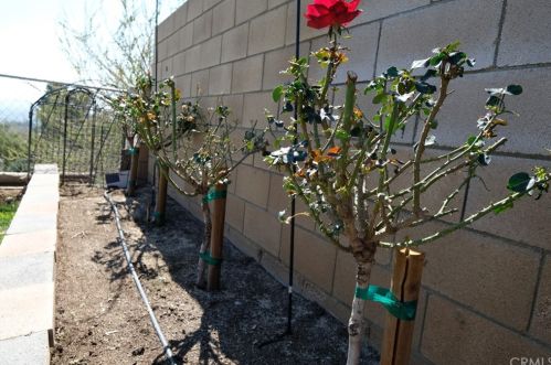 5580 Via Escalante, Riverside CA  92509-5562 exterior