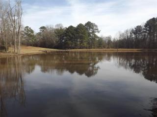 1440 Thurmond Cir, Reynolds Plantation, GA 30642-2669