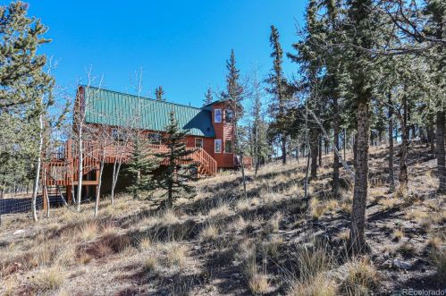 314 Persian Way, Fairplay, CO 80456-9734