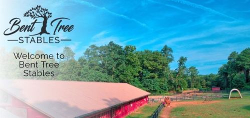 220 Coachwhip Ct, Big Canoe GA  30143-9304 exterior