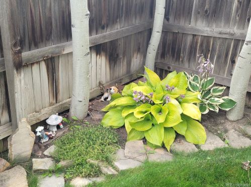 5273 Zeno Way, Aurora CO 80015-2359 exterior