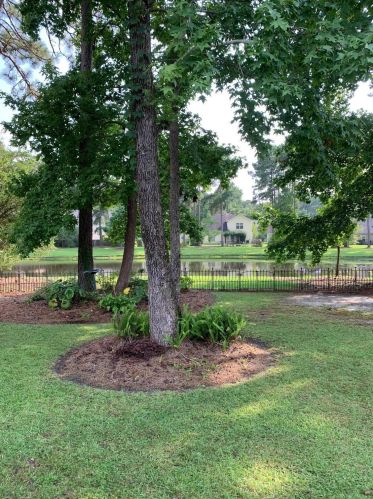 288 Sweet Alyssum Dr, Ladson SC  29456-3899 exterior
