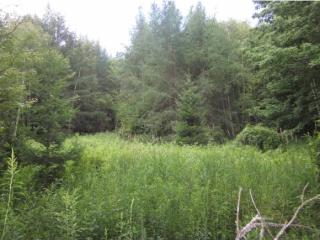 1 Fellows Rd, Lemington VT  05905-9700 exterior