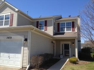 3078 Falling Waters Ln, Third Lake, IL 60046