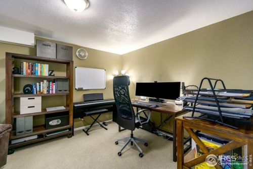 513 Idalia Ct, Fort Collins CO  80525-7011 exterior