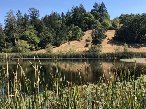 1391 Buckhorn Rd, Willits, CA 95490-9632
