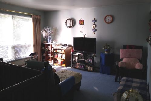 152 Larchmont Way, Lemont IL  60440-2669 exterior