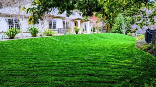10650 Magdalena Rd, Los Altos, CA 94024-6451