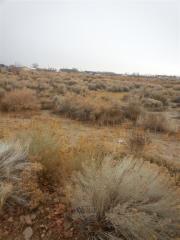 1837 Sky Ridge Dr, Fallon, NV 89406-3386