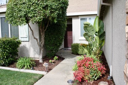 750 Berry Patch Ct, Gridley CA  95948-9626 exterior