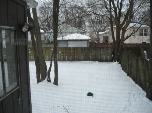 279 Clyde Ave, Calumet City, IL 60409-1714