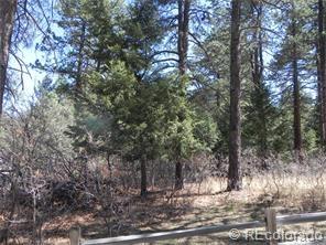 4854 Cheyenne Dr, Palmer Lake, CO 80118-8513