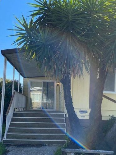 181 Mountain Springs Dr, San Jose, CA 95136-1232