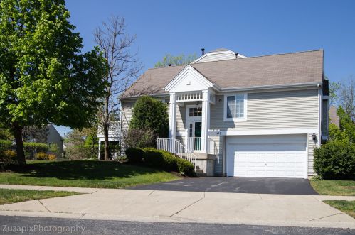 101 Cantal Ct, Wheeling, IL 60090-6780