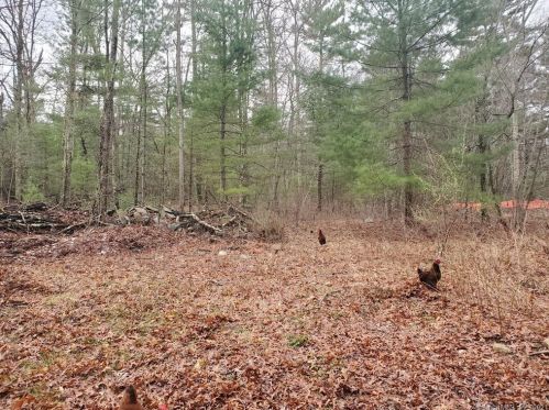 195 Hartford Pike, Killingly, CT 06241-1506