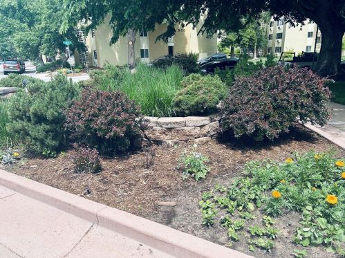600 Clinton St, Denver, CO 80247-1585