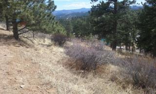 288 Ridge Rd, Bailey, CO 80421-2338