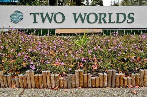 9 Mozden Ln, Concord CA  94523-3377 exterior