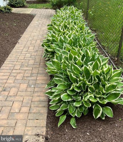 2202 Dennis Ave, Silver Spring MD  20902-4147 exterior