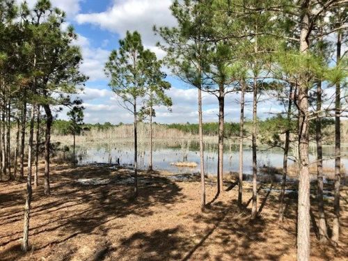 1084 Rocky Ford Rd, Coolidge, GA 31738-2614