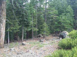 13716 Heidi Way, Truckee, CA 96161-6559