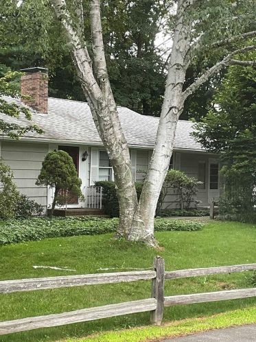 5 Sauer Ter, Lee, NH 03824-2404
