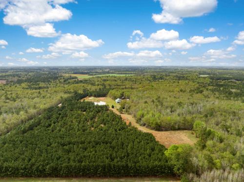 4488 Pond Town Rd, Brunson SC  29911-3801 exterior