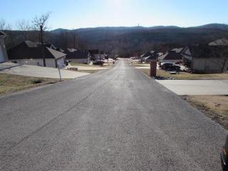 265 Rosewood Ln, Branson, MO 65616-8437