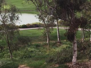 6859 Adolphia Dr, Carlsbad, CA 92011-5012