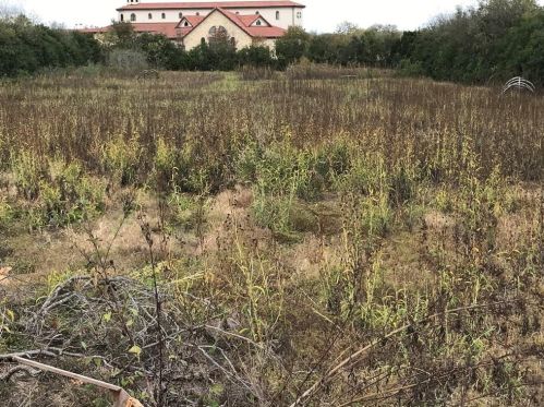 308 Schlemmer St, Uhland TX 78640-5681 exterior