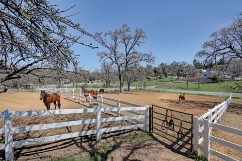 4420 El Dorado Rd, Swansboro Country, CA 95667-8240
